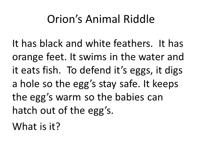 Orion’s Animal Riddle It has black and white feathers.  It has orange feet.